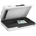 Epson DS-1630 Flatbed Color Document Scanner | 25ppm Duplex Scanning | 50-Sheet ADF, OCR, USB 3.0 | Office & Legal Document Scanner