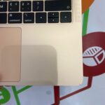Certified Refurbished Apple MacBook Air 2018 13.3 in Notebook (A1932), Intel Core i5-8210Y – Rose Gold